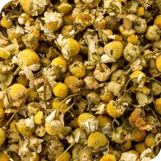 Caffeine Free - ZYANNA® India - zyanna.com