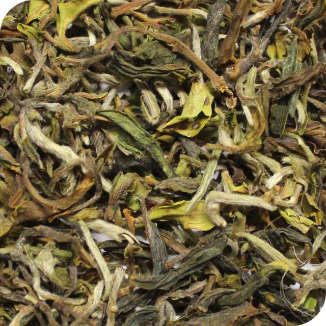 Darjeeling Tea - ZYANNA® India - zyanna.com