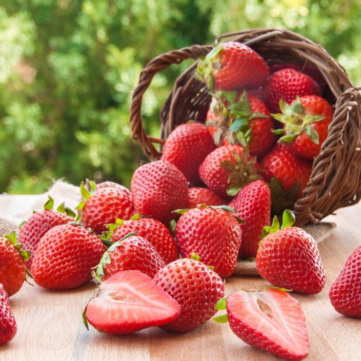 Strawberry Tea - ZYANNA® India - zyanna.com